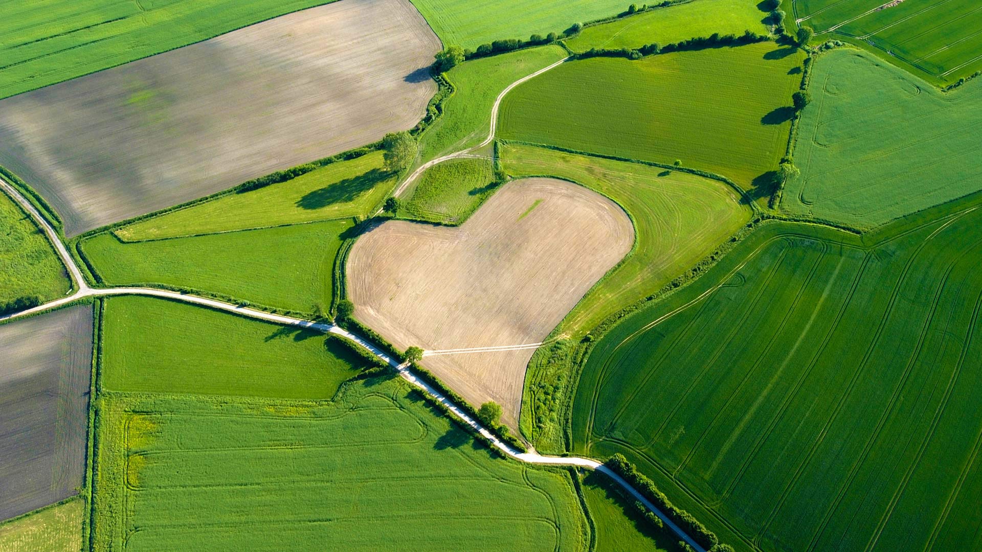 微信朋友圈9宫格照片制作工具（原创）2月17日更新，支持高清大图